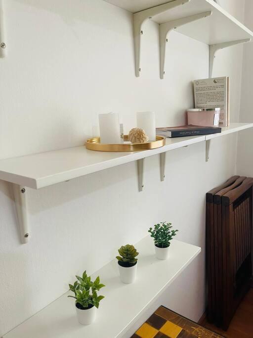 Chic Retreat Timisoara Appartement Buitenkant foto
