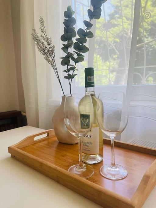 Chic Retreat Timisoara Appartement Buitenkant foto