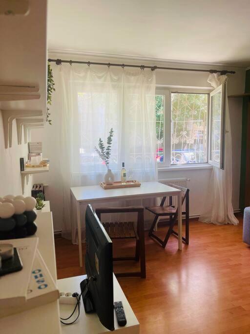 Chic Retreat Timisoara Appartement Buitenkant foto